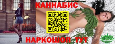 спиды Боровичи