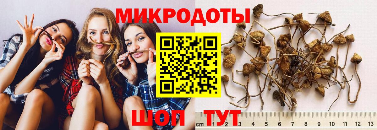 Псилоцибиновые грибы мухоморы  Вход с VPN  Галлюциногенные грибы прущие грибы  Белорецк 